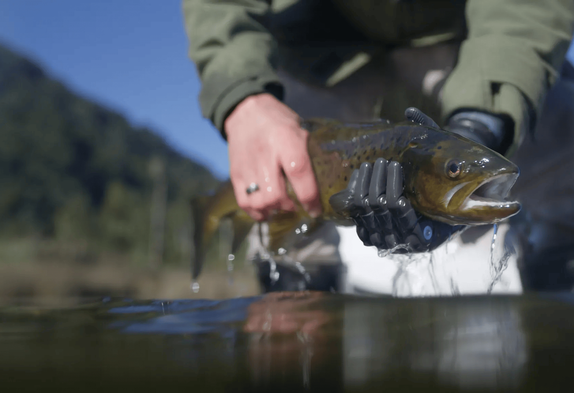 Still_2025_08_26_092802_1_12_1_TA_6dd5dcf074