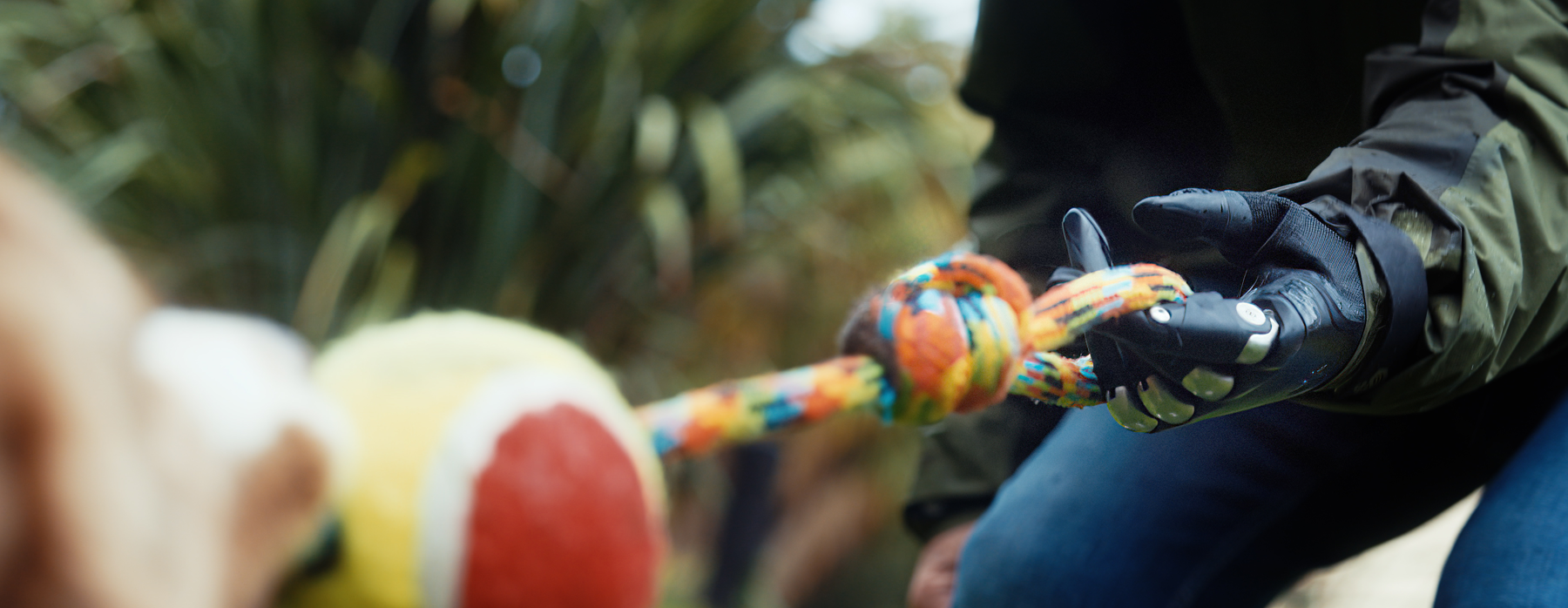 TASKA CX user playing tug of war with a dog